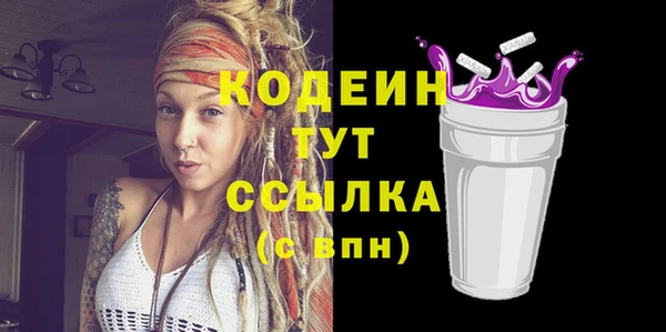 ПСИЛОЦИБИНОВЫЕ ГРИБЫ Верея