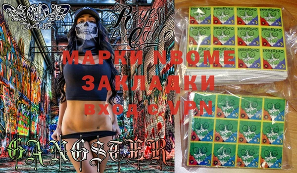 ПСИЛОЦИБИНОВЫЕ ГРИБЫ Верея