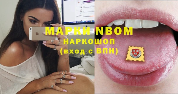 ПСИЛОЦИБИНОВЫЕ ГРИБЫ Верея
