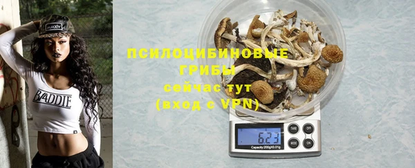 ПСИЛОЦИБИНОВЫЕ ГРИБЫ Верея